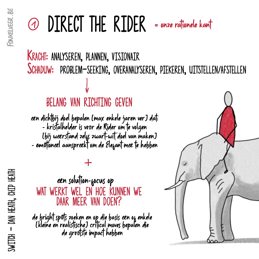 Direct the Rider